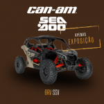 Carros-Confirmados-LP_Carro 8